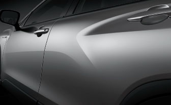 Door Sill Protectors