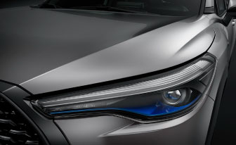Door Sill Protectors