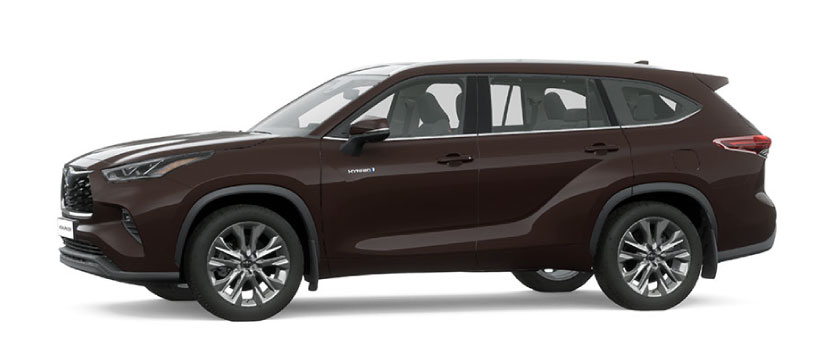 Highlander Blackish Brown Mica