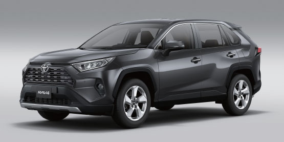 RAV 4 HEV Gray