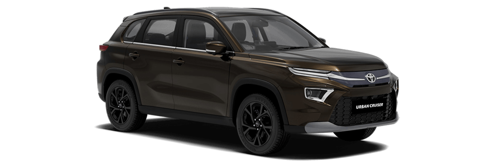 Urban Cruiser Brown Family
